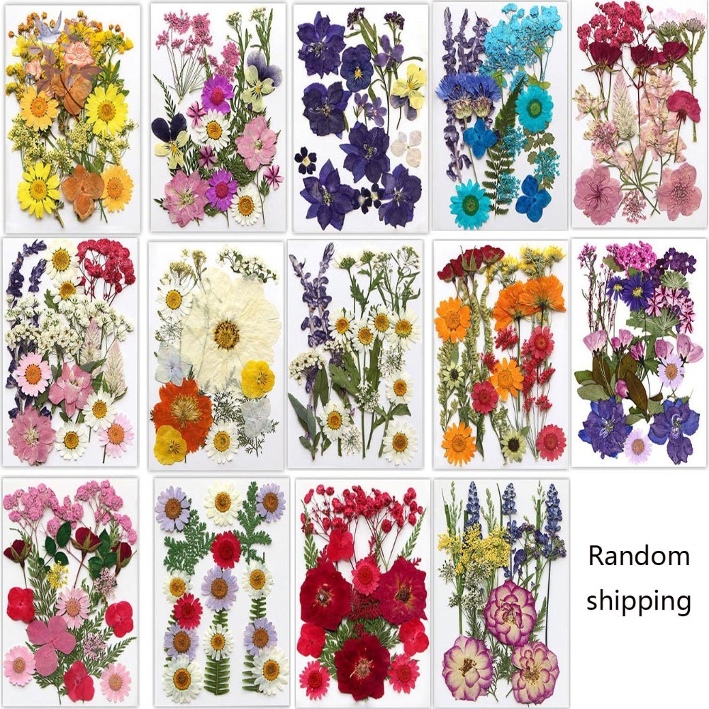 수제 압화 북마크 DIY 재료 투명 병 스티커 수제 엠 - Dried Flower Bookmark 리뷰 및 가격